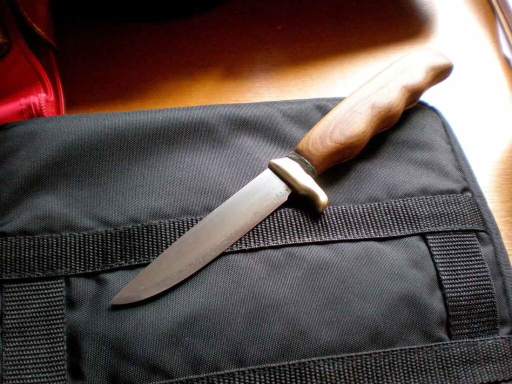 NSW Law on Offensive Language in Public