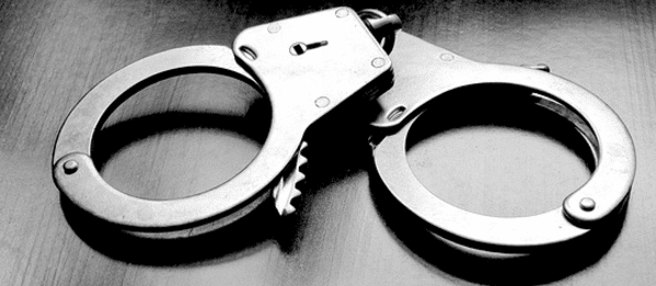 NSW Police and Offensive Language Rules